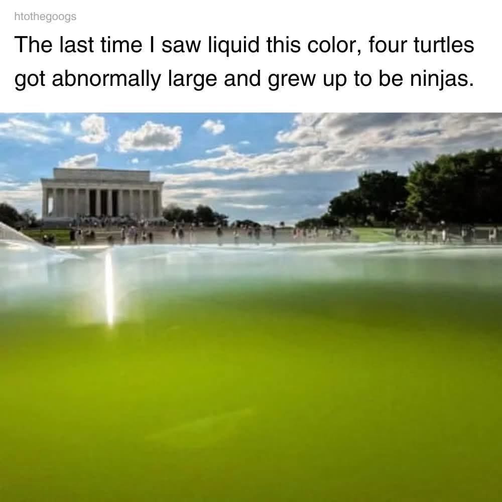 last-time-i-saw-liquid-this-color