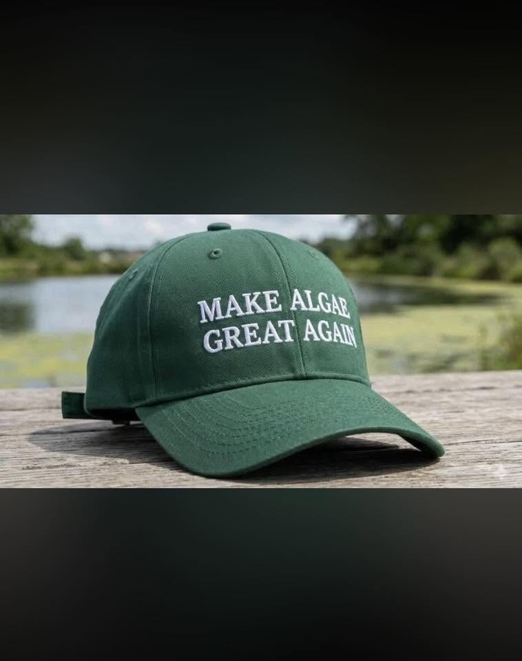 make-algae-great-again-2