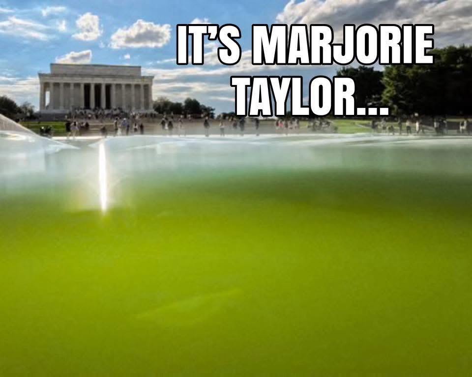 marjorie-taylor