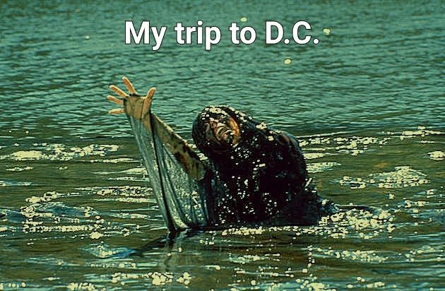 my-trip-to-dc