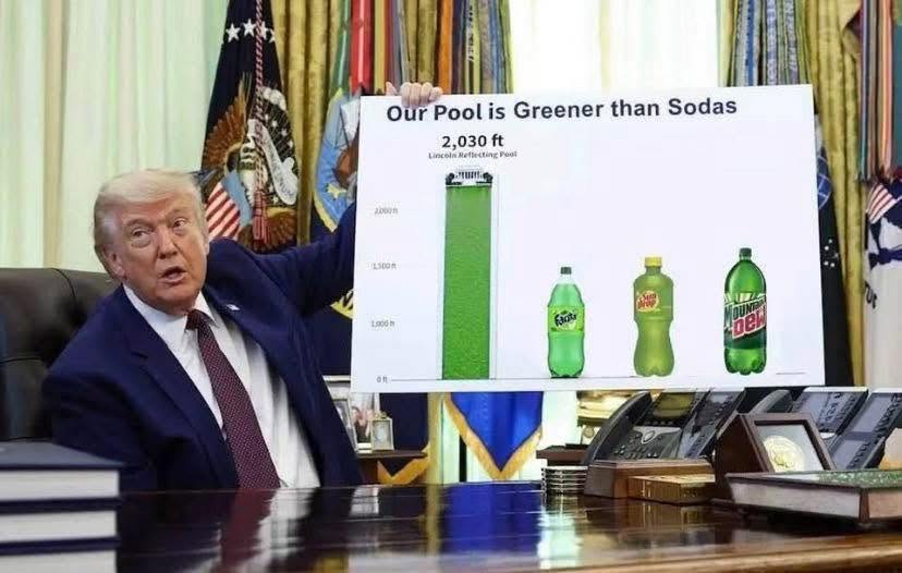 our-pool-is-greener