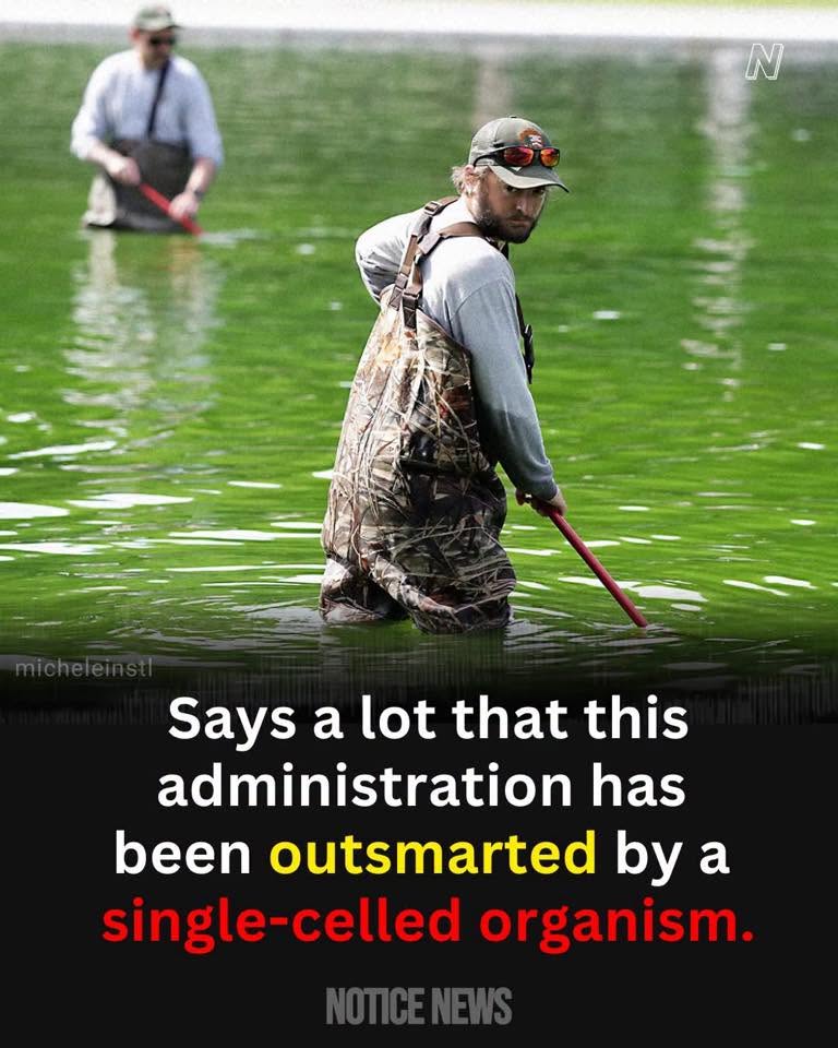 outsmarted