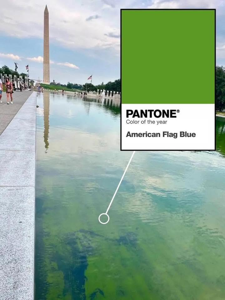 pantone
