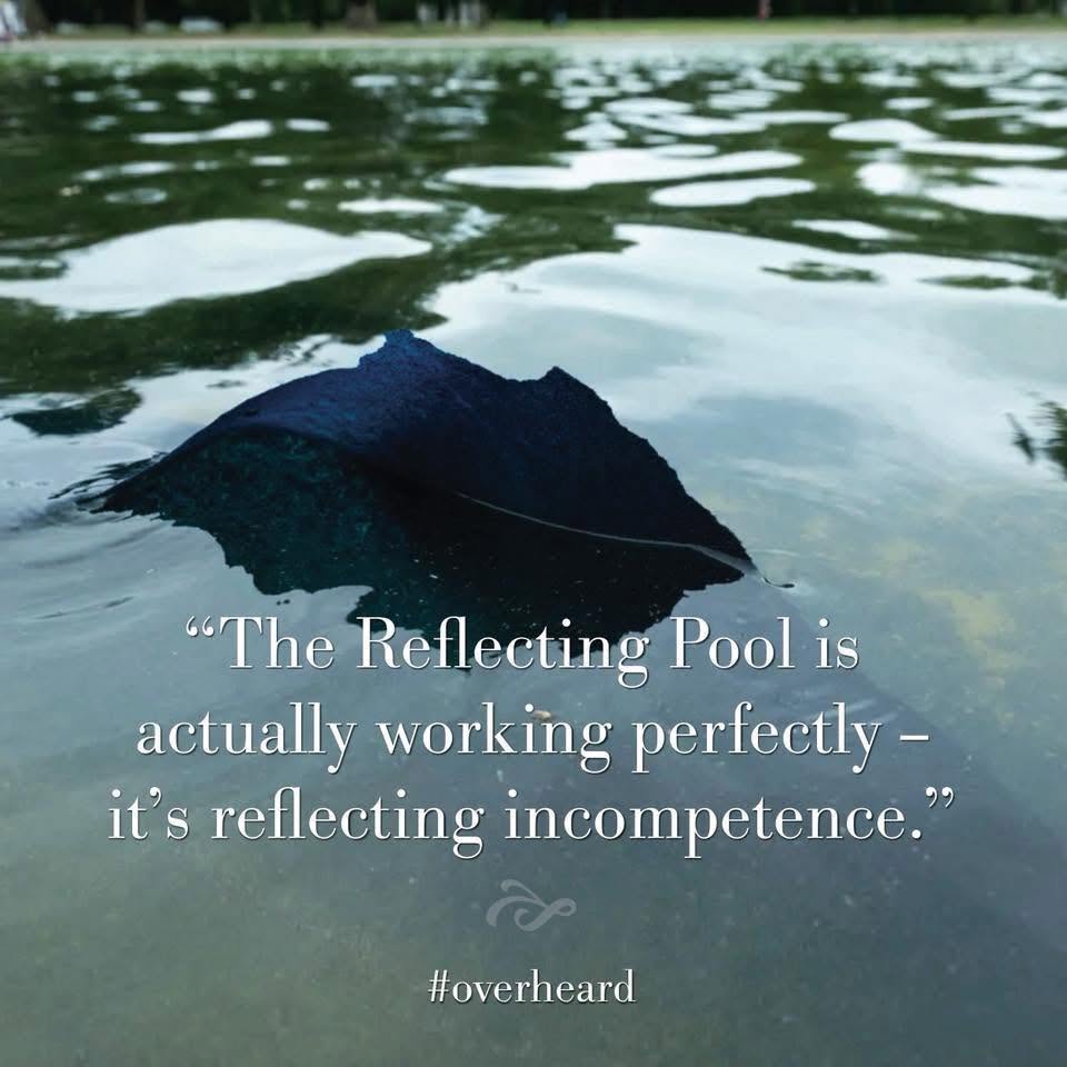 reflecting-incompetence