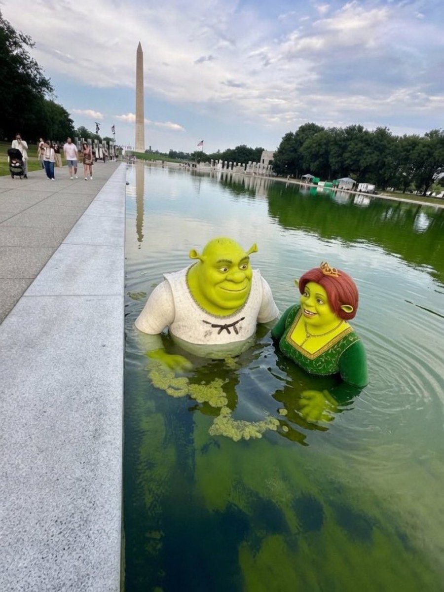 shrek-and-fiona
