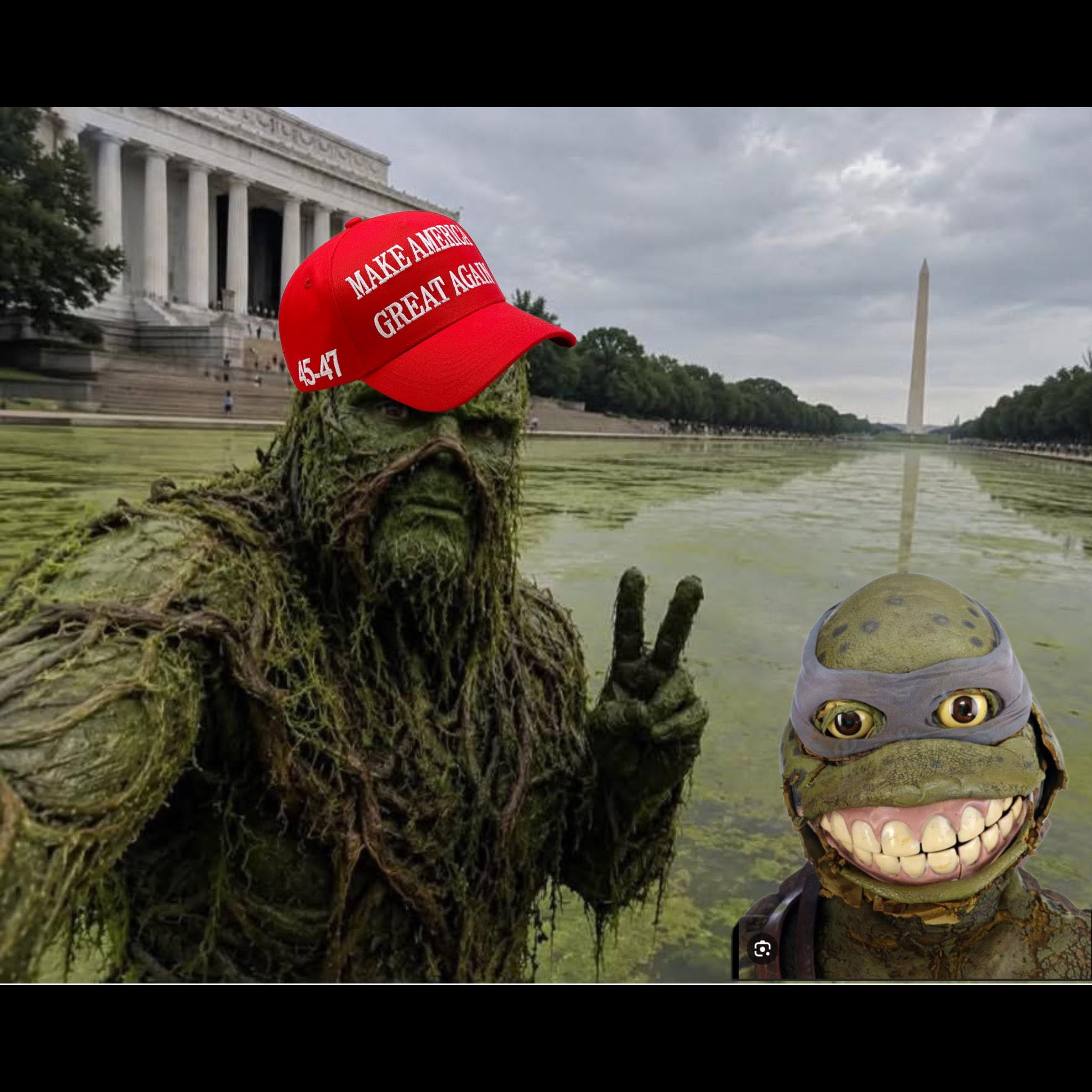 swamp-thing-ninja-turtle