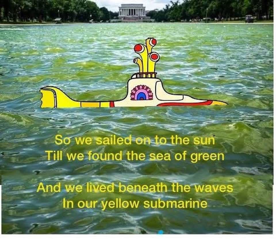 yellow-submarine-2