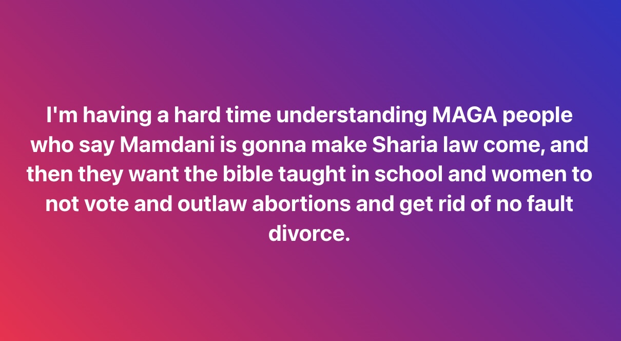 maga-on-mamdani