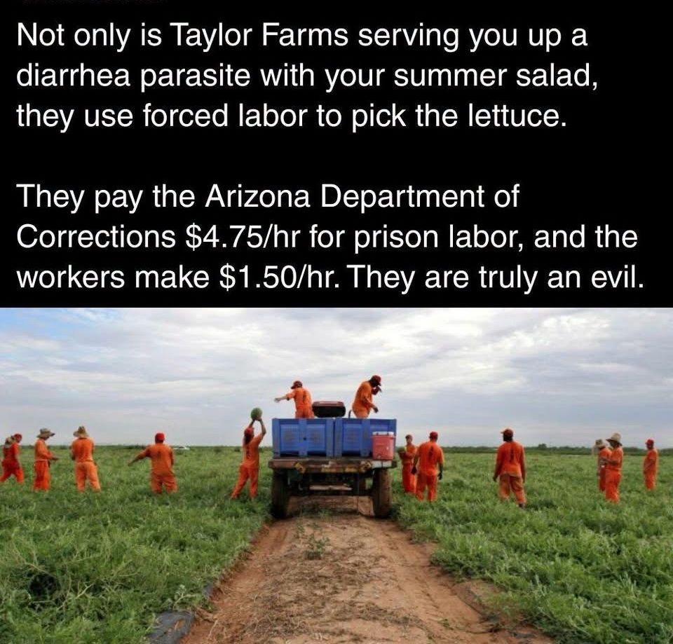 1785914904230