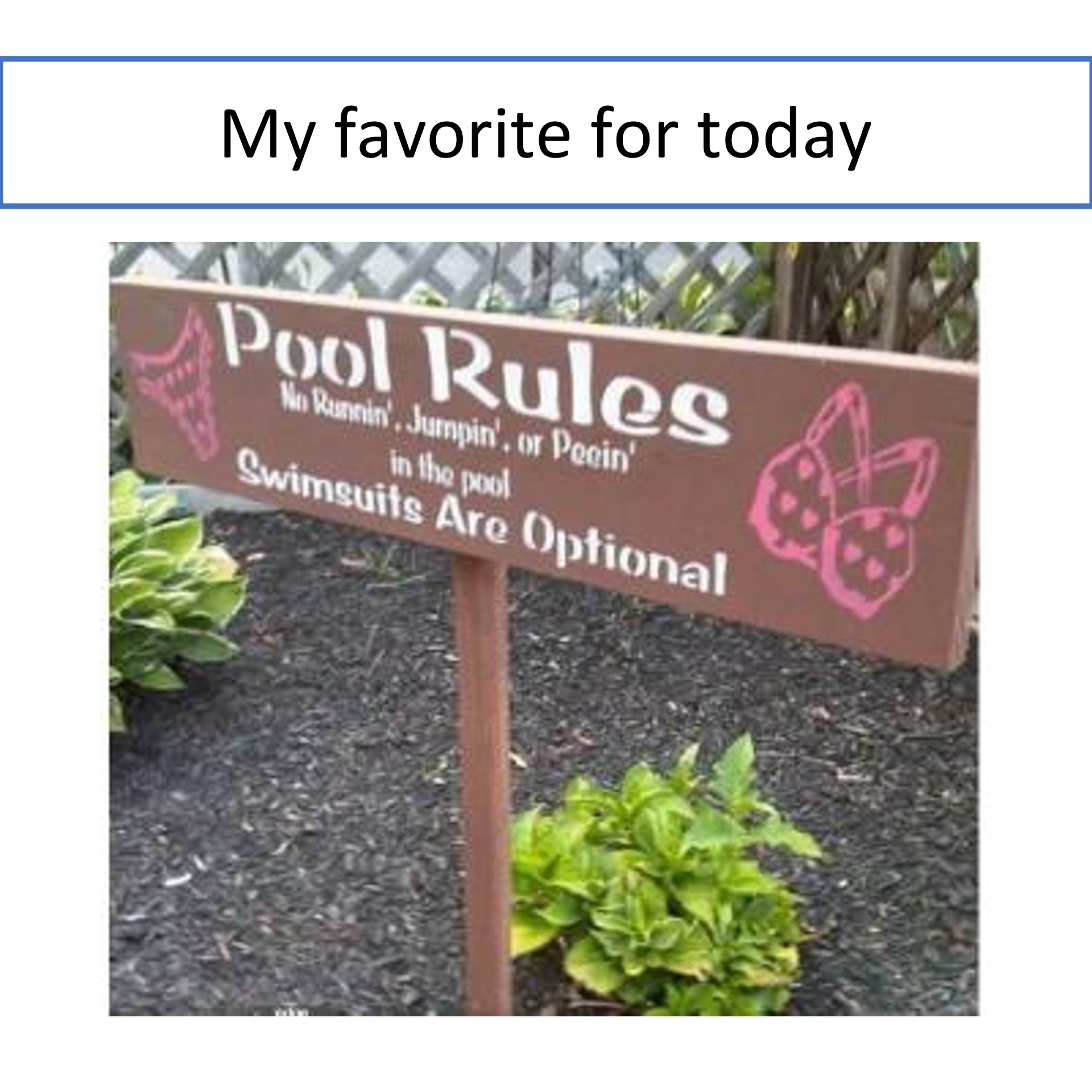 1786704554444-1