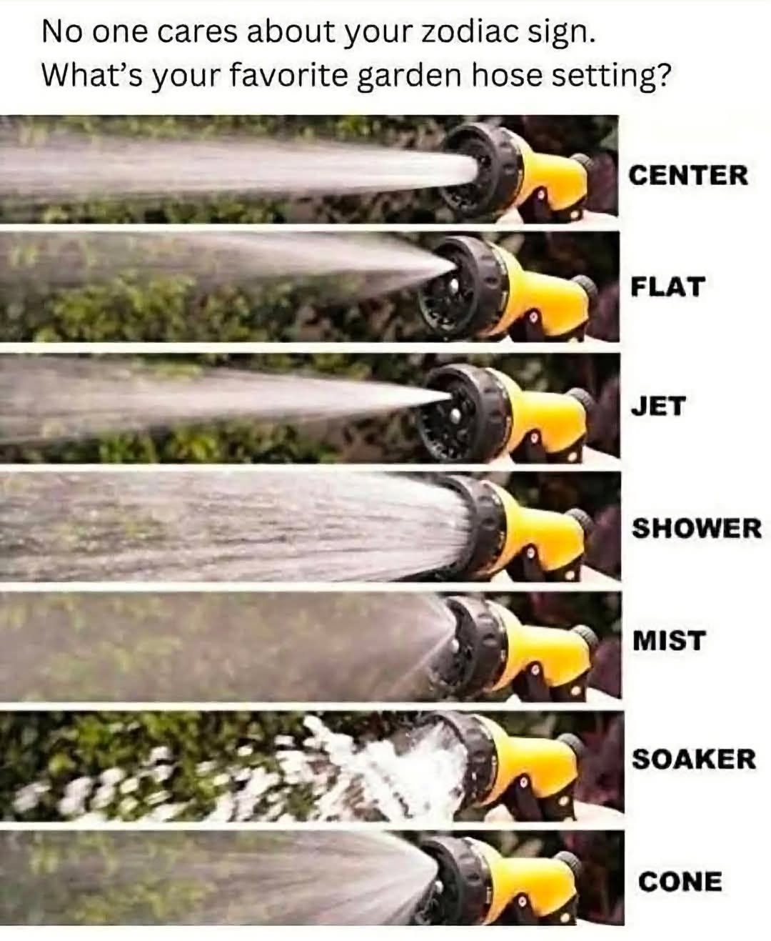 736261004_10165906857885992_7217225117091275044_n