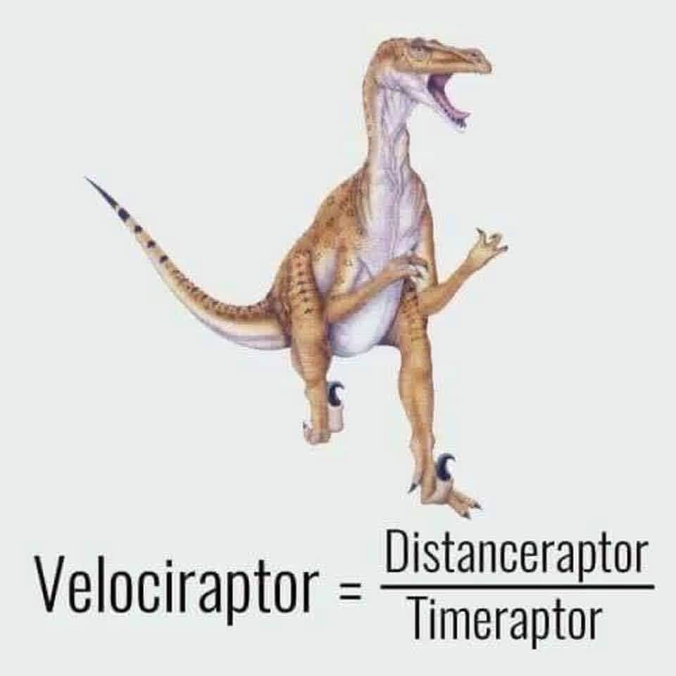 743276625_10240077997501966_1068288786546401620_n
