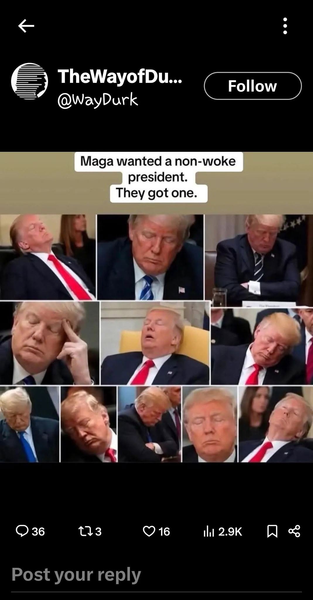 743951540_4501933713415367_1799743058249455017_n
