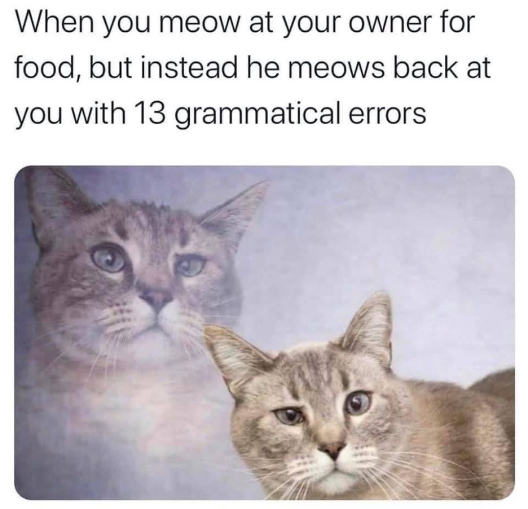 768667784_10235982558718336_7694515964874357734_n