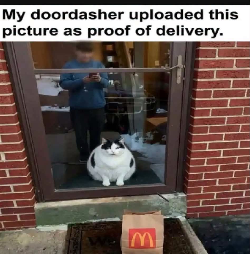 778958230_1349161447377280_7594115375880356330_n