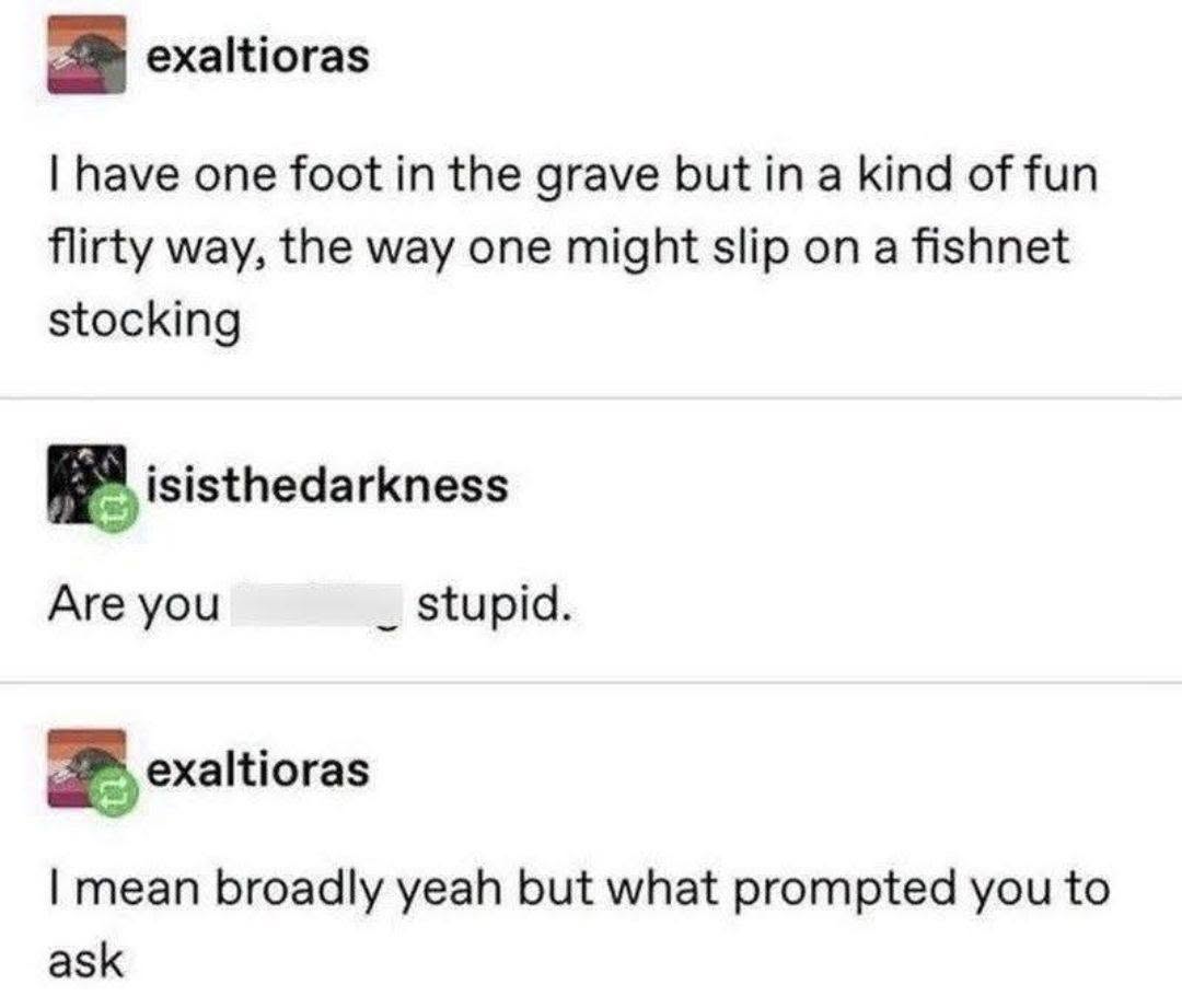 782385848_28246779964989376_6452982412320793635_n