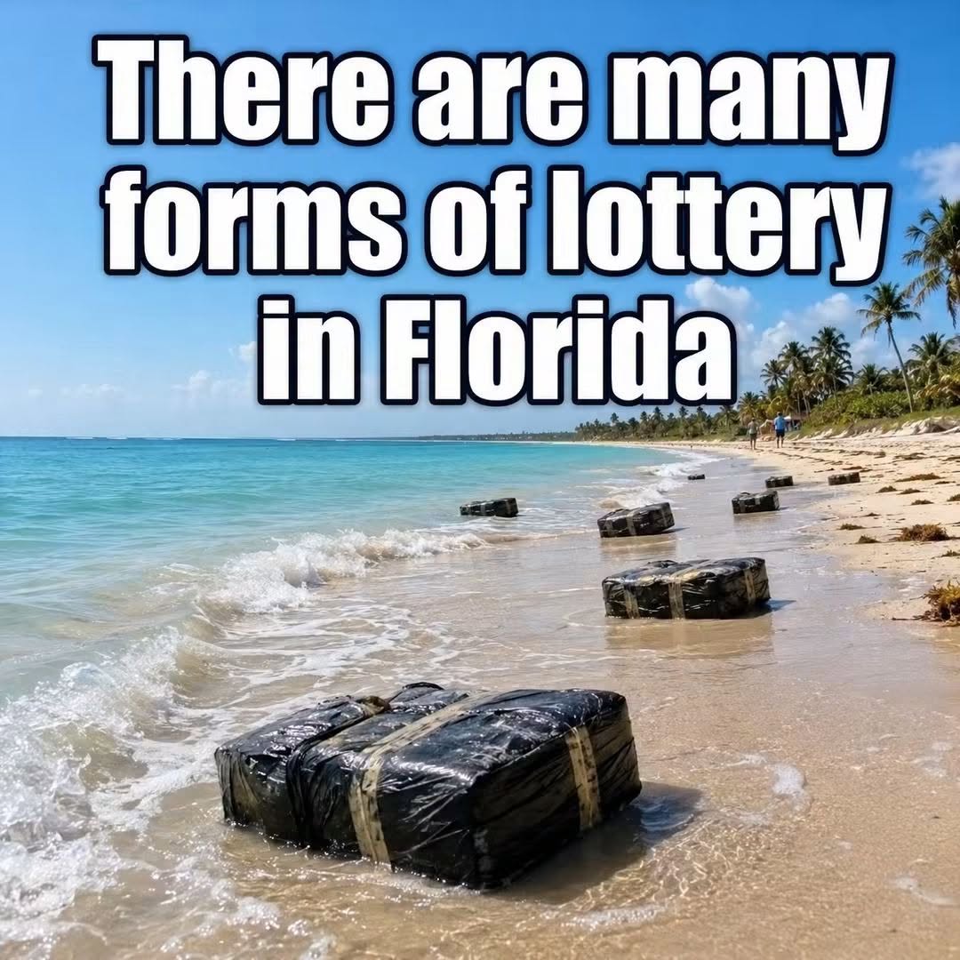 784183048_1422393919797256_8067834490158751344_n