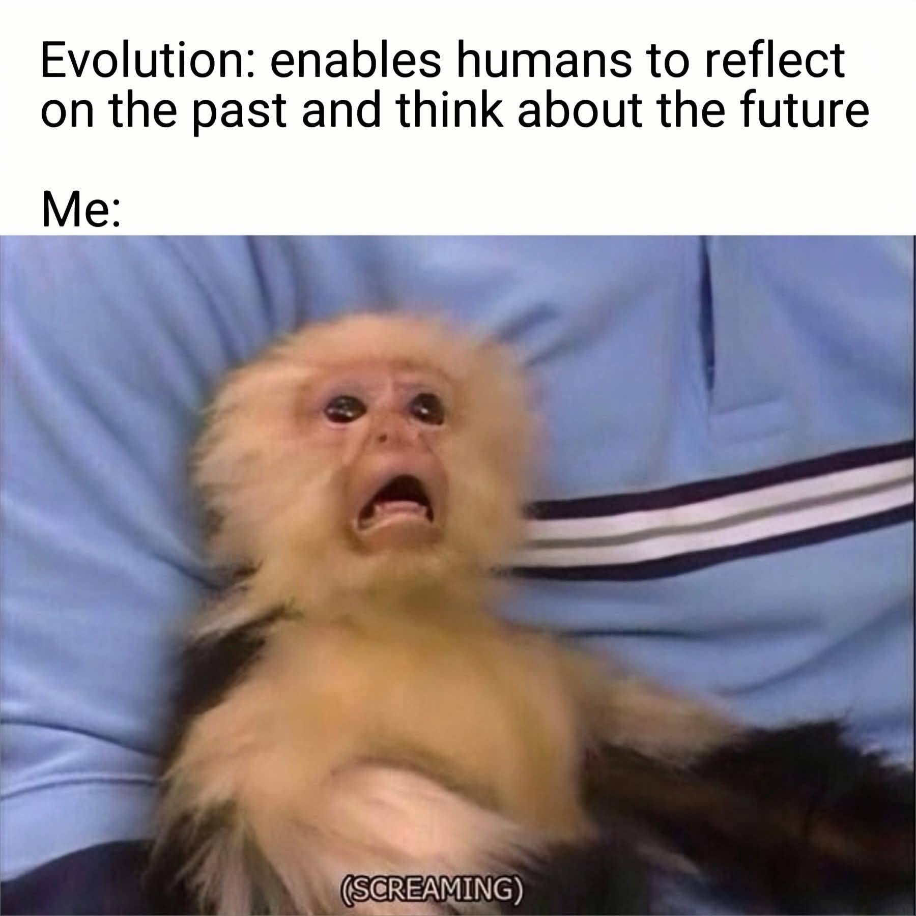 784519195_10167853688434867_6382756893588678779_n