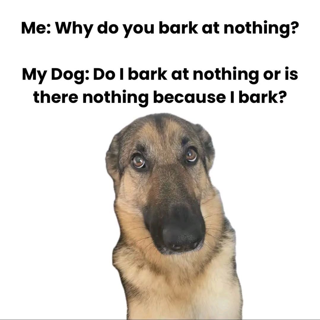 784961594_10163033081685668_6319043924256415628_n