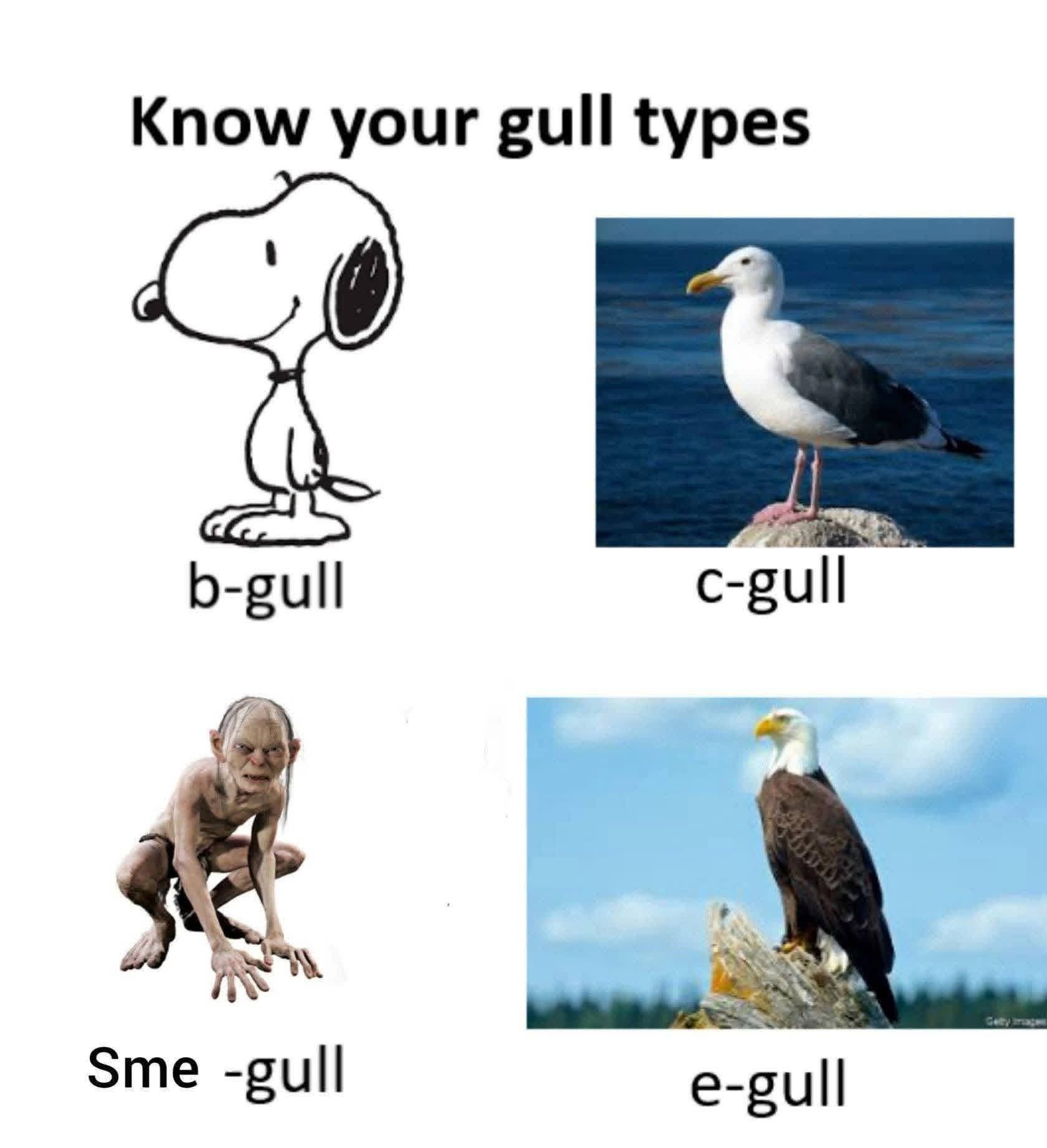 785082721_10163033077705668_8614473169885477397_n