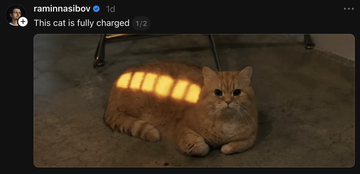 cat-fully-charged