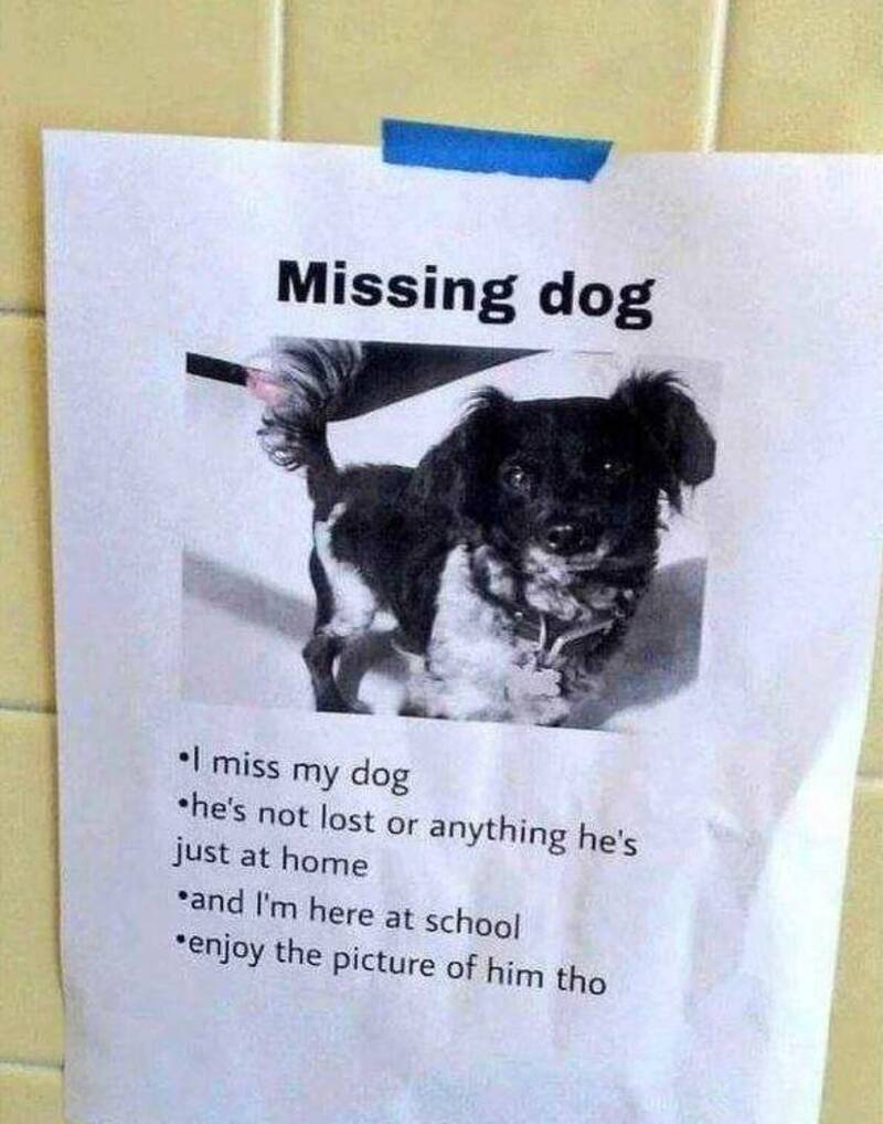 funny-pictures-7-22-26-57