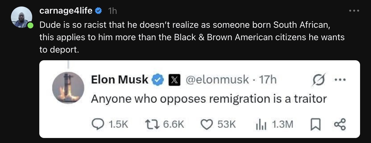 musk-on-remigration