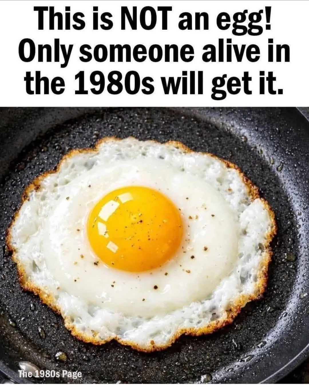 petah-its-clearly-an-egg-to-me-why-is-it-not-an-egg-and-v0-embqmr5x4bmh1