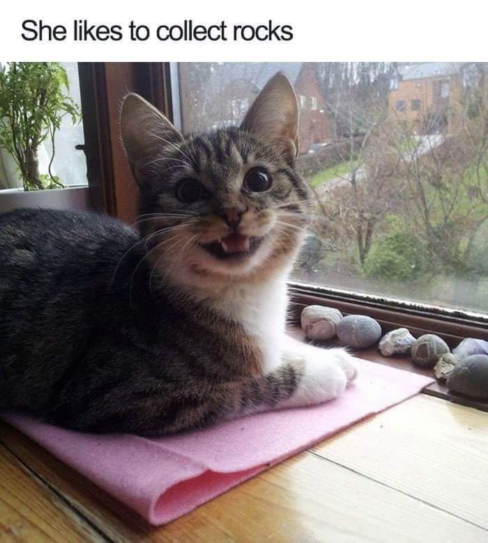 794317793_1788480215911117_4870526532914883418_n