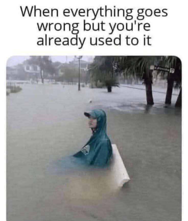 795644288_1597969798776598_7448246181953884451_n
