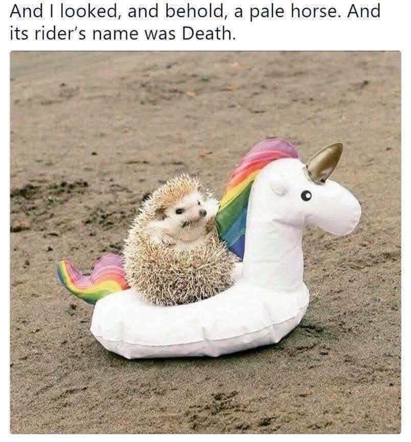 818365271_10241190269911611_7350150828027897554_n