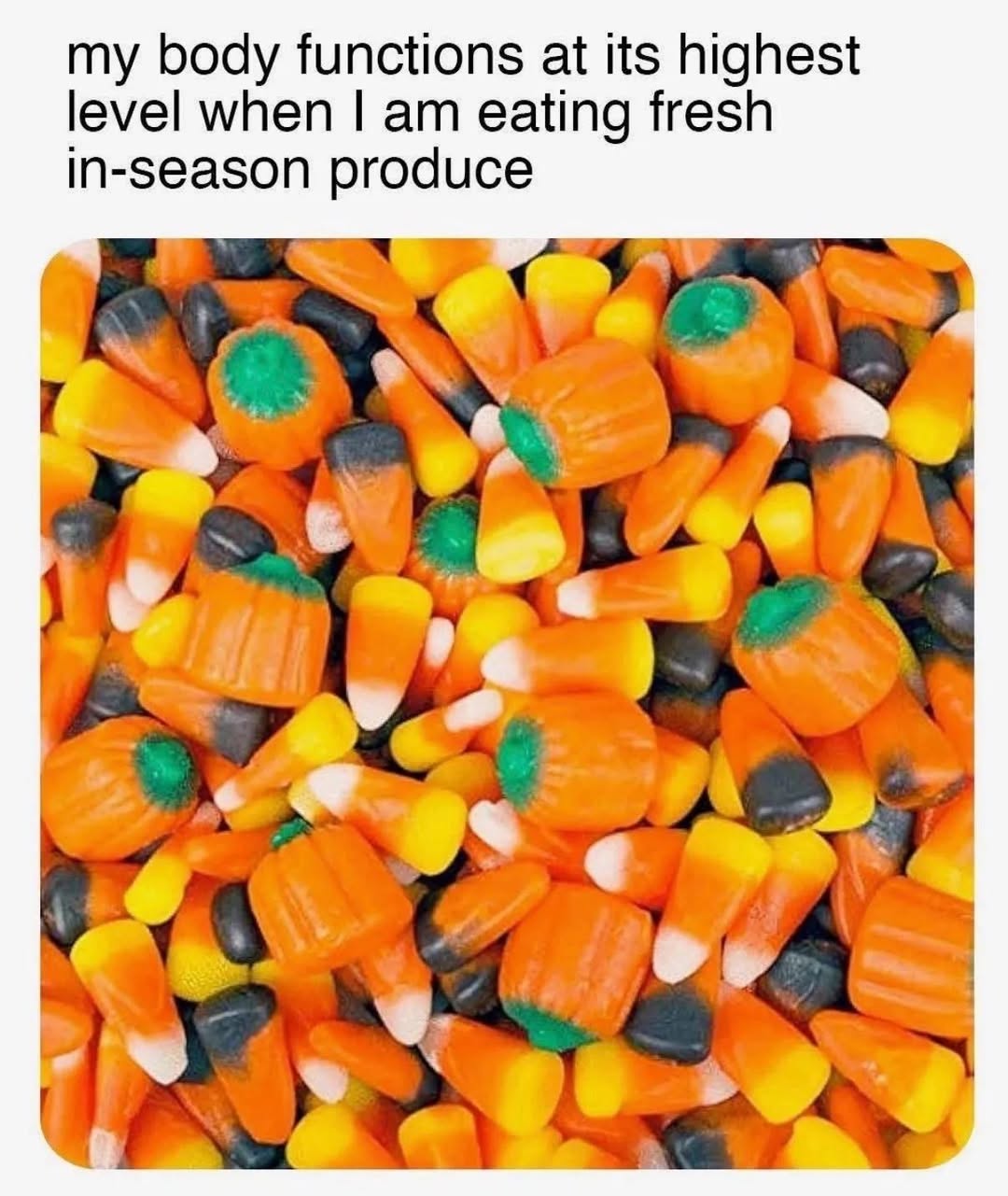 819481098_10164552701097199_6528504753750496949_n