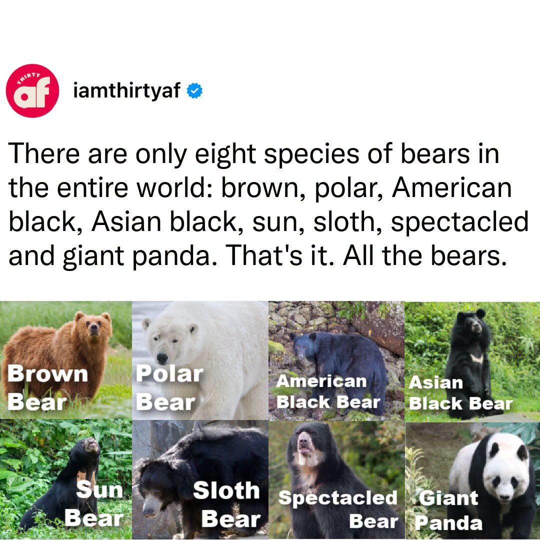 822134082_1535601051667357_1421401155659415226_n