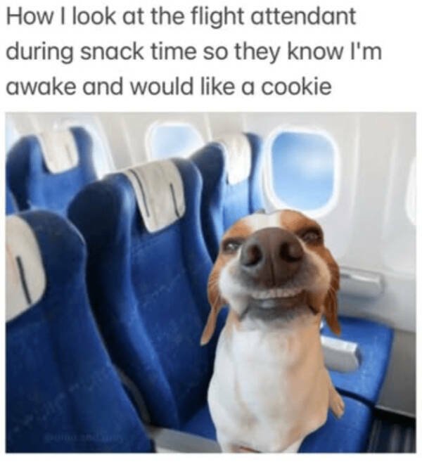 1791367095_u7l32h03o2