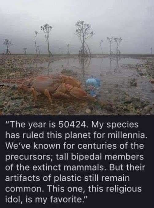 828092153_1076064298512766_2071735710837327862_n