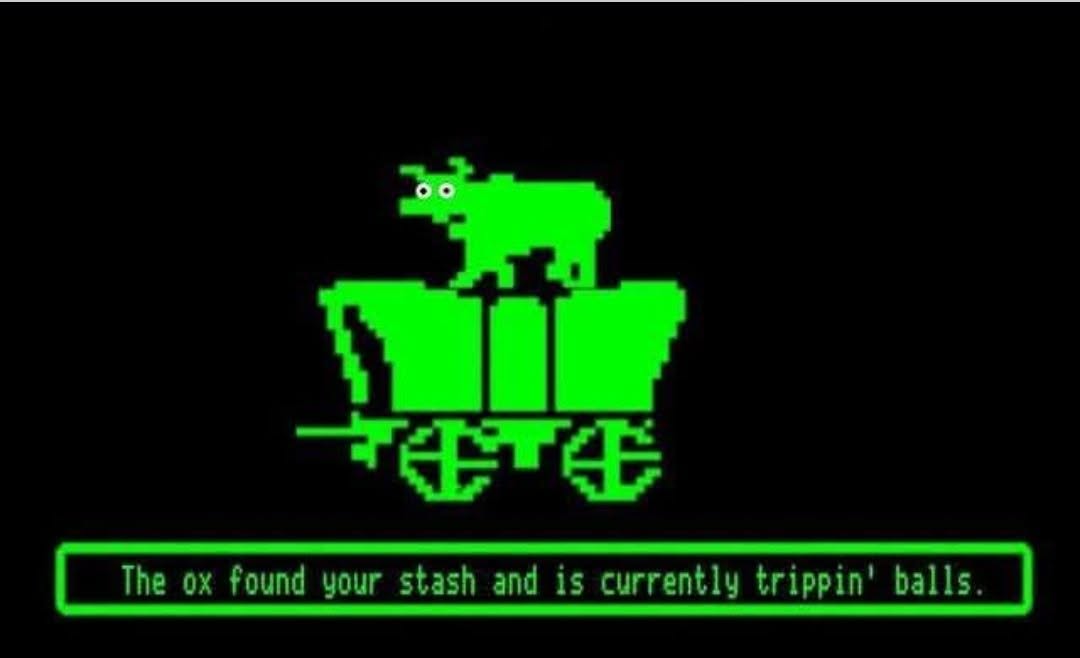 830883150_10164945259489295_7433967348870307961_n