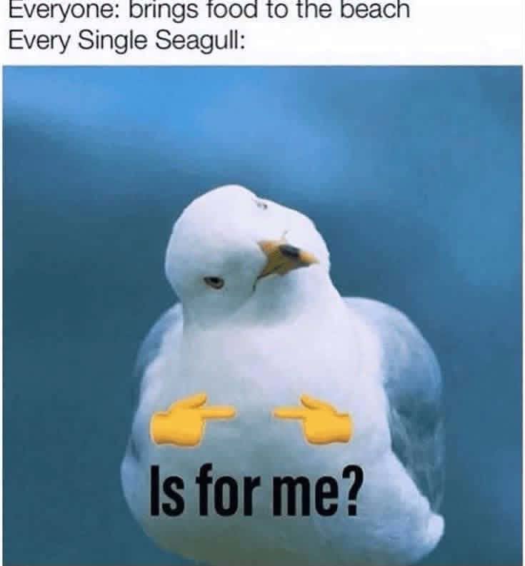 831313237_932432099585907_3385260063406177129_n