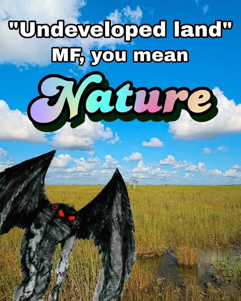 831492650_2907552246274756_3003217435239229477_n
