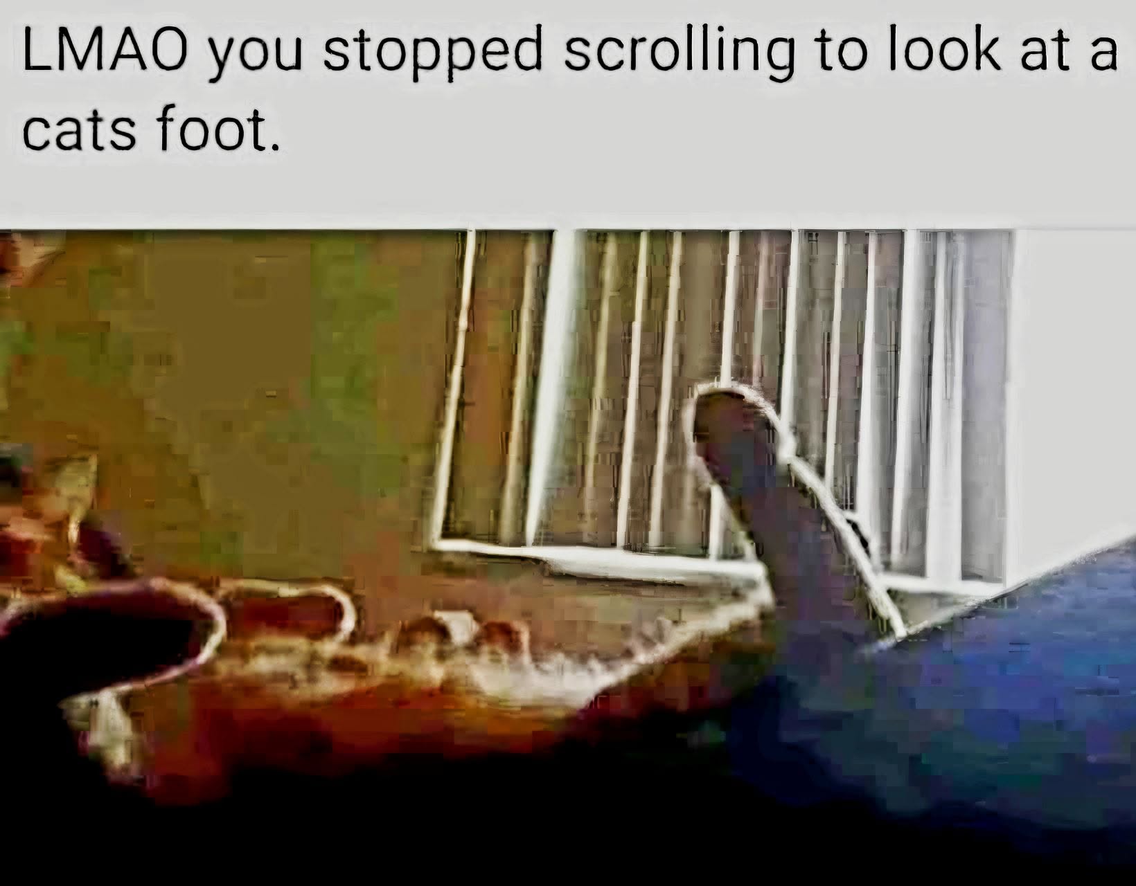 833794879_4236943376530528_8286458220016063049_n