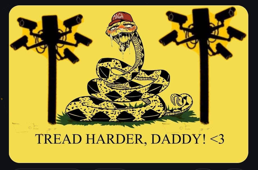 833906956_10164945367519295_7861653581596834878_n