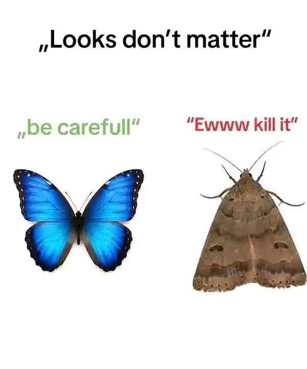 847227485_2872262579808537_9144808434762998550_n