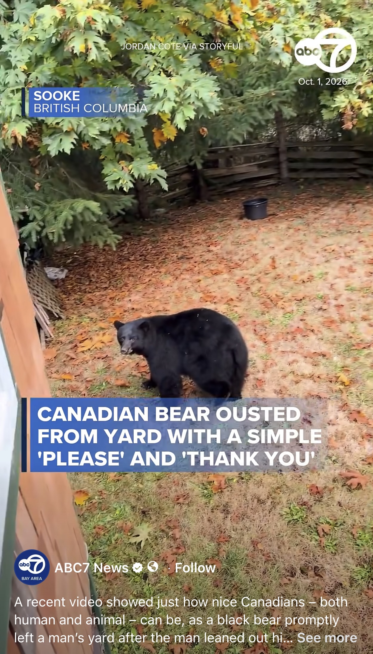 canadian-bear-ousted