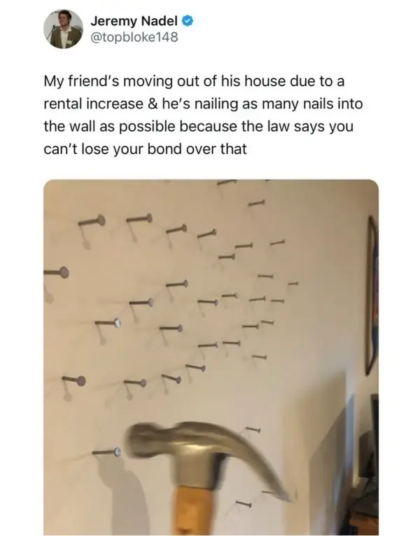 xQurqWyQXX